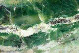 Polished Green-White Opal Slab - Western Australia #132924-1